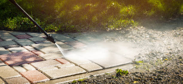 Best Animal Enclosure Cleaning  in Leona Valley, CA