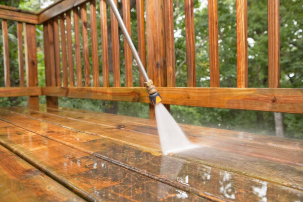 Best Driveway Pressure Washing  in Leona Valley, CA